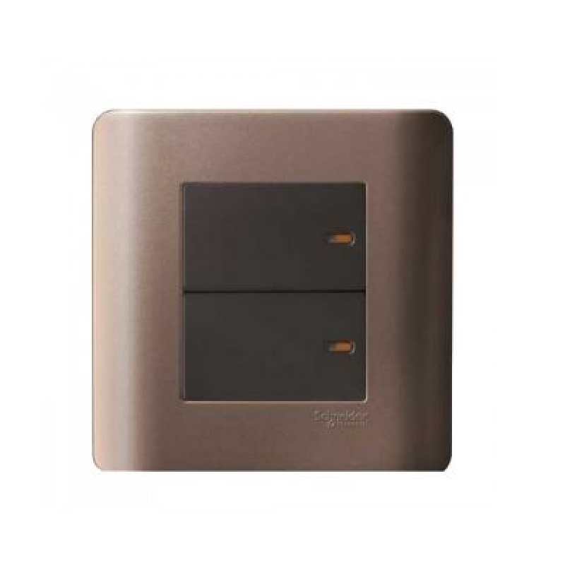 Schneider 16AX Zencelo Silver Bronze 2 Gang Switch